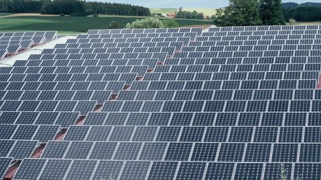 Solaranlage mit zahlreichen Solarmodulen vor einer Naturlandschaft