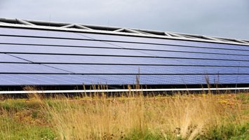 Solarmodule umgeben von Gras und Vegetation.