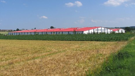 Lagerhallen-ähnliches Gebäude mit rotem Dach vor Wiese und Maisfeld