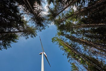 Blick aus einem Wald nach oben auf eine Windkraftanlage vor blauem Himmel.