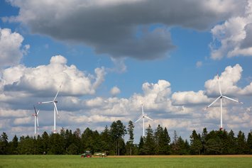 Feld und Wald, dahinter sind Windräder zu sehen