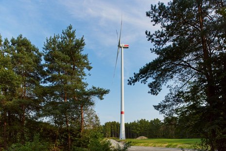 Ein Windrad inmitten eines Waldes.