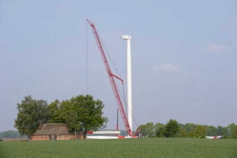 Foto in der Ferne von einem roten Kran neben dem Baum einer Windkraftanlage.
