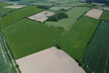Luftaufnahme von ländlichen Feldern in unterschiedlichen Wachstumsstadien, umgeben von kleinen Waldstücken und vereinzelten Wegen. Eine Landstraße verläuft entlang der linken Bildseite.