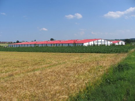 Lagerhallen-ähnliches Gebäude mit rotem Dach vor Wiese und Maisfeld