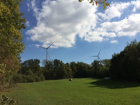 Windkraftanlagen im Hintergrund eines Feldes.